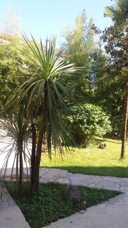 Apartman Taraca Villa Knezevic Herceg Novi Esterno foto